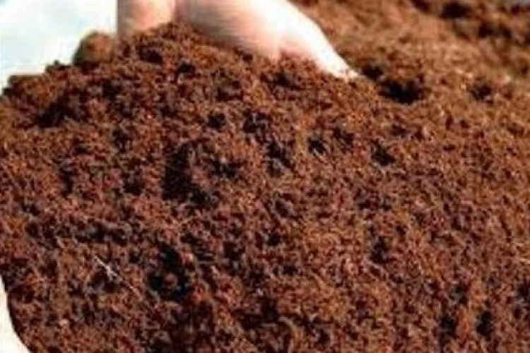 Vermicompost supplier Andheri vermicompost Dealers Thane